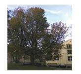 ECLI_NL_PHR_2021_559-14-2