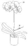 ECLI_NL_RBDHA_2018_1977-10-08
