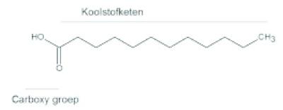 ECLI_NL_RBDHA_2019_3424-14-09