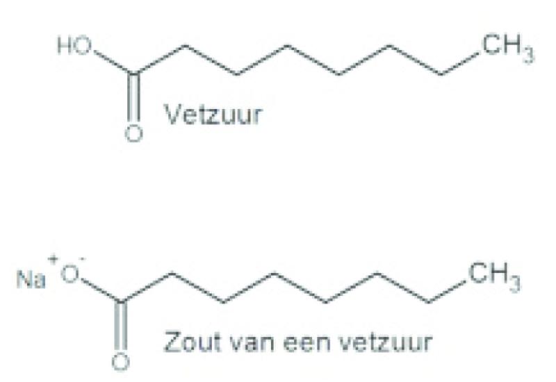 ECLI_NL_RBDHA_2019_3424-14-11