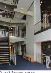 ECLI_NL_RBDHA_2017_555-07